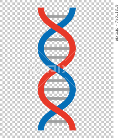 dna, gene, genes 78011819