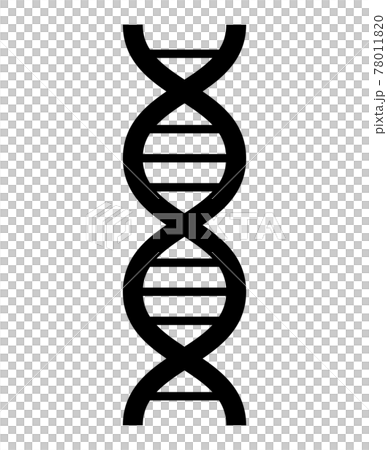 dna, gene, genes 78011820