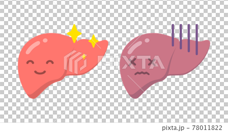 肝臓と顔 78011822