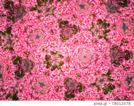 テレイドスコープで見たツツジの花 78012078