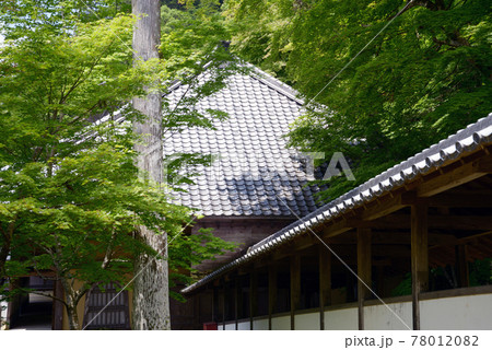 永源寺　法堂と回廊　滋賀県東近江市 78012082