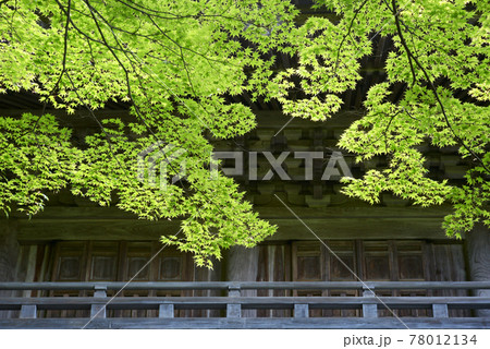 永源寺 山門の新緑 滋賀県東近江市 永源寺 山門の新緑 滋賀県東近江市 78012134