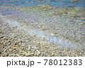 【沖縄素材】珊瑚の砂浜でできた沖縄の海水浴場に打ち寄せる無職透明の波 【沖縄素材】珊瑚の砂浜でできた沖縄の海水浴場に打ち寄せる無職透明の波 78012383