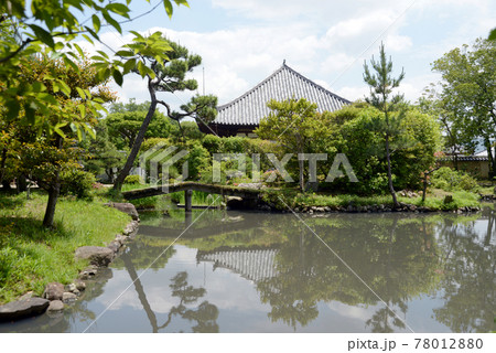 法華寺 名勝庭園と本堂 奈良市 法華寺 名勝庭園と本堂 奈良市 78012880