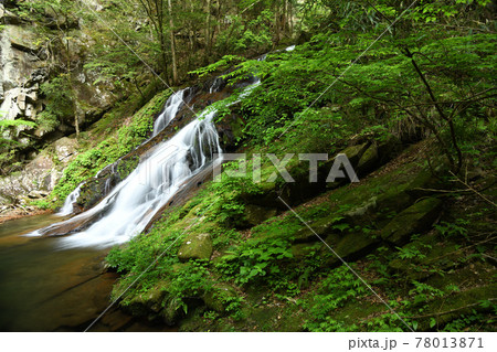 済浄坊渓谷 (一の滝) 【奈良県宇陀郡曽爾村】 済浄坊渓谷 (一の滝) 【奈良県宇陀郡曽爾村】 78013871