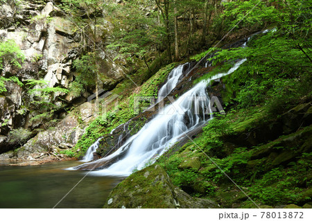 済浄坊渓谷 (一の滝) 【奈良県宇陀郡曽爾村】 済浄坊渓谷 (一の滝) 【奈良県宇陀郡曽爾村】 78013872