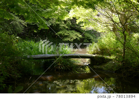 不退寺 新緑の庭園 奈良市 不退寺 新緑の庭園 奈良市 78013894