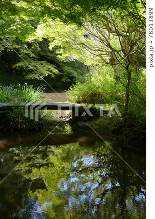 不退寺 新緑の庭園 奈良市 不退寺 新緑の庭園 奈良市 78013899