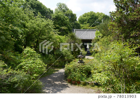 不退寺 本堂から南門を望む 奈良市 不退寺 本堂から南門を望む 奈良市 78013903