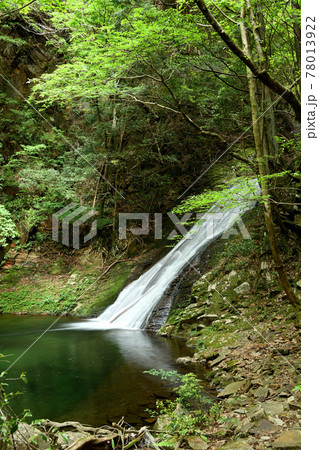 済浄坊渓谷 (二の滝)　【奈良県宇陀郡曽爾村】 78013922