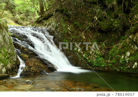 済浄坊渓谷 (無名滝) 【奈良県宇陀郡曽爾村】 済浄坊渓谷 (無名滝) 【奈良県宇陀郡曽爾村】 78014037