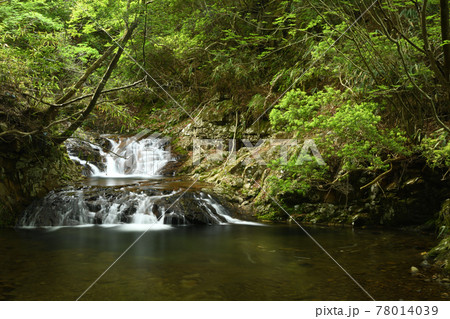 済浄坊渓谷 (無名滝) 【奈良県宇陀郡曽爾村】 済浄坊渓谷 (無名滝) 【奈良県宇陀郡曽爾村】 78014039