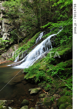 済浄坊渓谷　(一の滝)　【奈良県宇陀郡曽爾村】 78014798