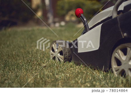 Lawn mower cutting green grass on backyard. Gardening care equipment. Sunny day, close up Lawn mower cutting green grass on backyard. Gardening care equipment. Sunny day, close up 78014864