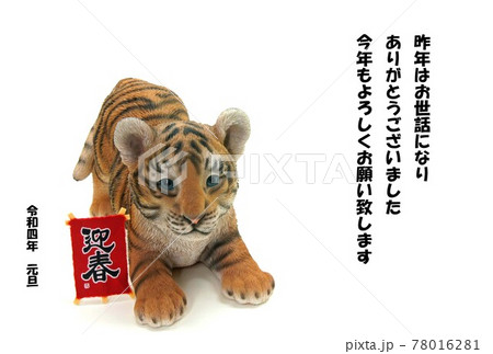 年賀状寅年 年賀状寅年 78016281