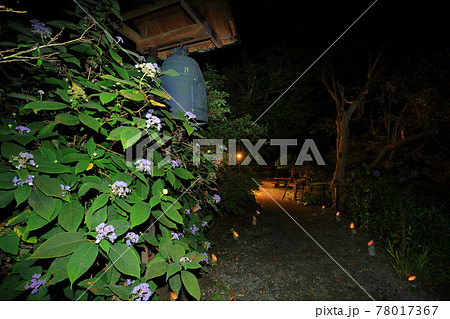 中曽根別荘  日の出山荘 78017367