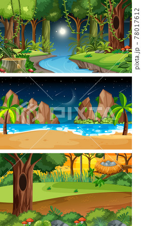 Three different nature horizontal scenes 78017612