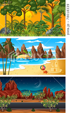 Three different forest horizontal scenes 78018339