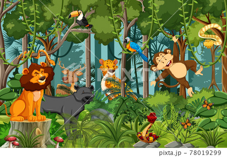 Wild animal cartoon character in the forest scene Wild animal cartoon character in the forest scene 78019299