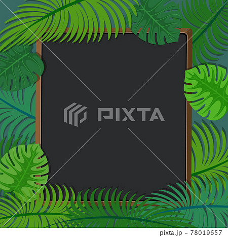 Empty background with tropical leaves frame 78019657