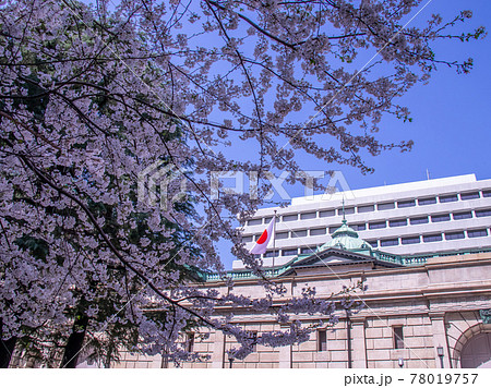 春の日本橋室町の都市風景　桜 78019757