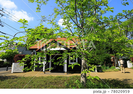 Aさんの庭 トトロの住む家 Aさんの庭 トトロの住む家 78020959