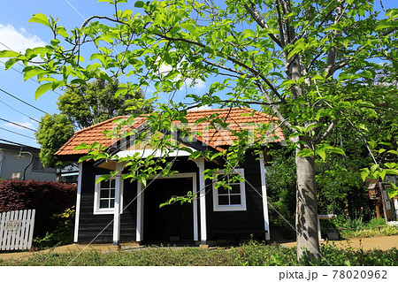 Aさんの庭 トトロの住む家 Aさんの庭 トトロの住む家 78020962