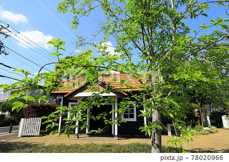 Aさんの庭 トトロの住む家 Aさんの庭 トトロの住む家 78020966