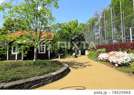 Aさんの庭  トトロの住む家 78020968