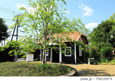 Aさんの庭 トトロの住む家 Aさんの庭 トトロの住む家 78020974