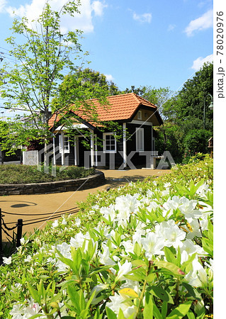 Aさんの庭 トトロの住む家 Aさんの庭 トトロの住む家 78020976