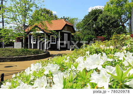 Aさんの庭  トトロの住む家 78020978