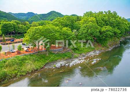 春　荒川の流れ　金石水管橋からの風景　下流方面 78022736