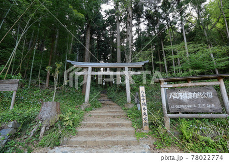 東京都　八王子市　八王子城跡　本丸への山道 78022774