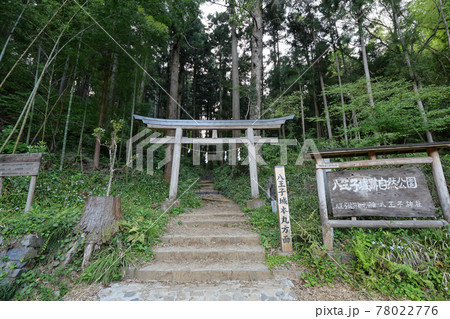 東京都　八王子市　八王子城跡　本丸への山道 78022776