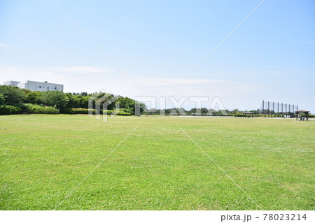 初夏の青空と緑の公園 78023214
