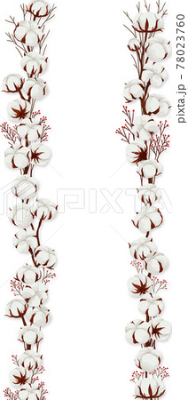 Flower Frame White Cotton Flowersのイラスト素材