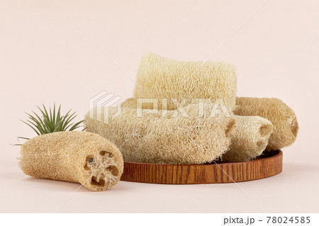 natural loofah, Zero Waste concept 78024585