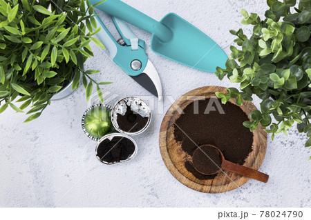 recycling coffee - wood spoon, wood bowl and capsule coffee 78024790