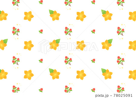 ヒペリカム 78025091