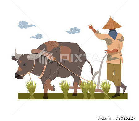 Asian Farmer in Straw Conical Hat Ploughing Earth with Bull Vector Illustration 78025227
