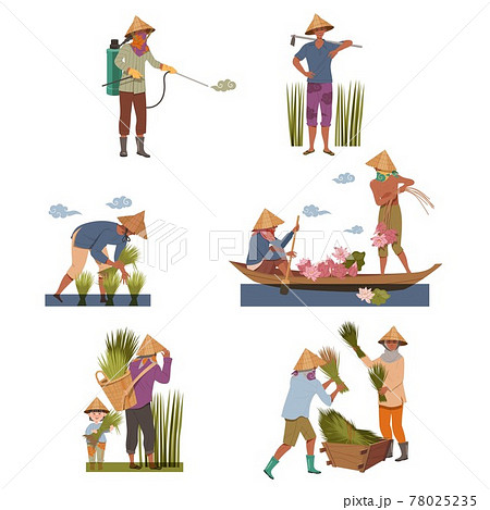 Asian Farmers in Straw Conical Hat Working on Field Vector Set 78025235