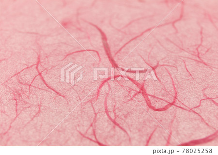 雲竜紙 和紙 前後ボカシ 雲竜紙 和紙 前後ボカシ 78025258
