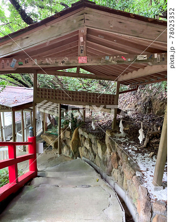 白浜 歓喜神社 白浜美術館 白浜 歓喜神社 白浜美術館 78025352