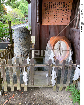 白浜 歓喜神社 白浜美術館 白浜 歓喜神社 白浜美術館 78025361