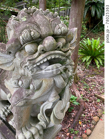 白浜 歓喜神社 白浜美術館 白浜 歓喜神社 白浜美術館 78025363