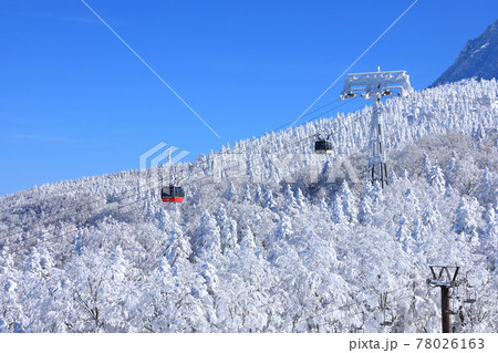 山形県 蔵王の樹氷 山形県 蔵王の樹氷 78026163