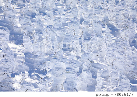 山形県　蔵王の樹氷 78026177