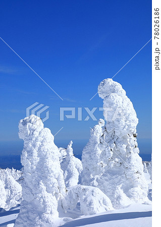 山形県 蔵王の樹氷 山形県 蔵王の樹氷 78026186