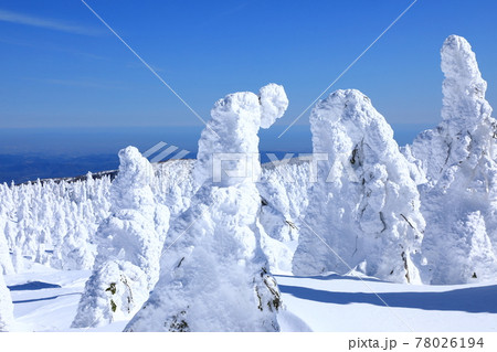 山形県　蔵王の樹氷 78026194